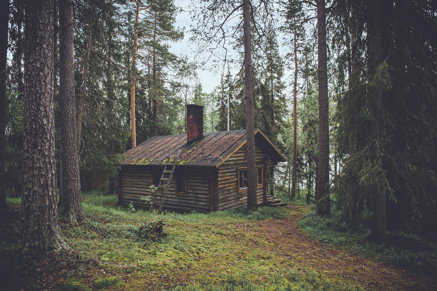 Laurel Hideaway — illustrative cabin interior for London, Kentucky